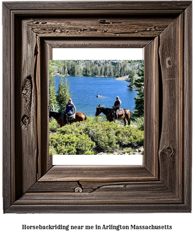 horseback riding near me in Arlington, Massachusetts